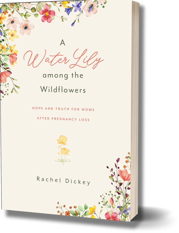 Book-3D-Image image Book-3D-Image.png